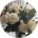 Marina Magadieva profile picture